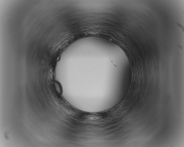 X0000101680555200807101147
