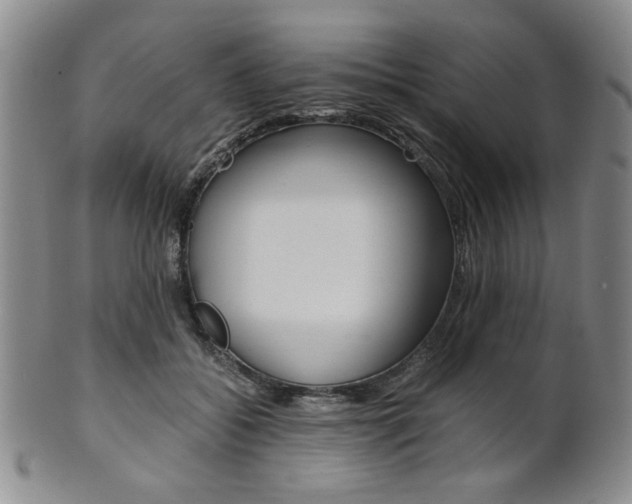 X0000101680556200807101147