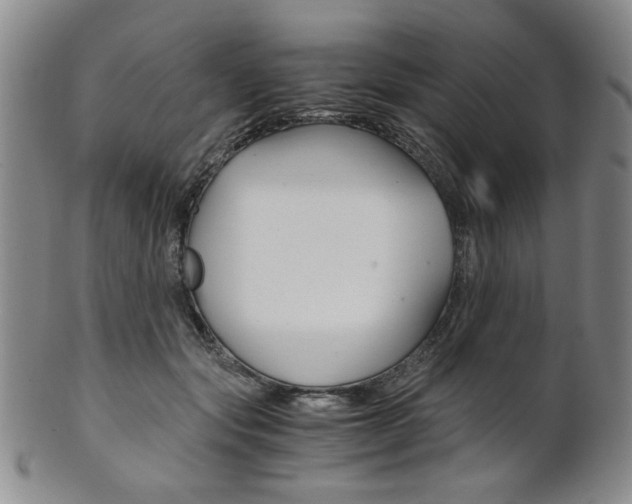X0000101680557200807101147
