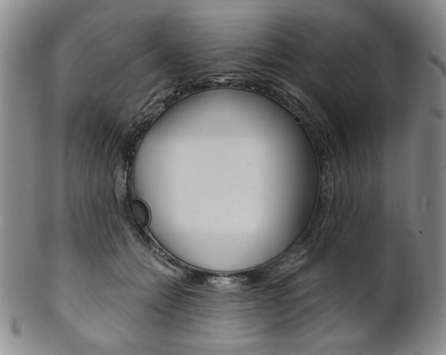 X0000101680558200807101147