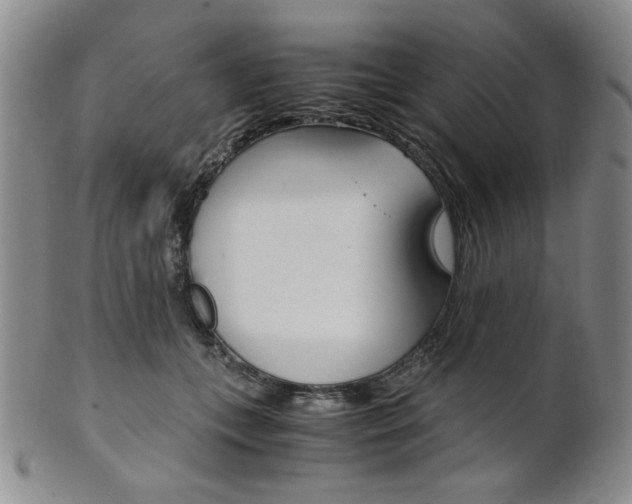 X0000101680559200807101147