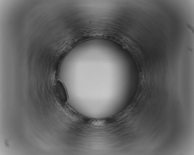 X0000101680560200807101147