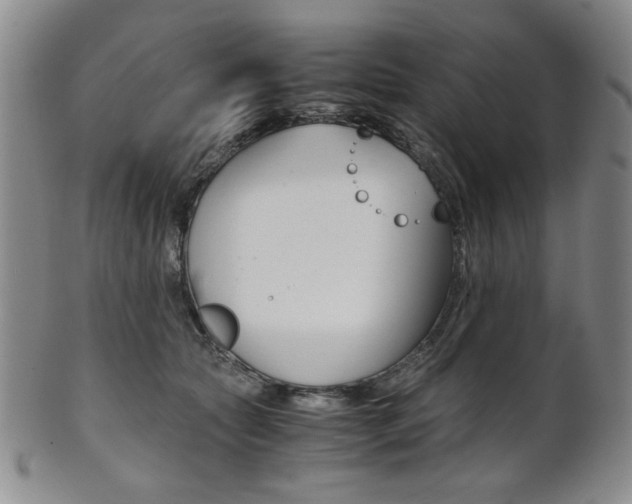 X0000101680561200807101147