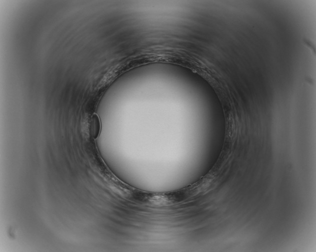 X0000101680562200807101147