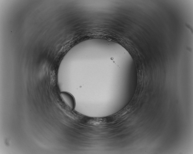 X0000101680563200807101147