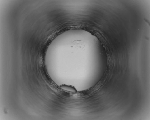 X0000101680564200807101147