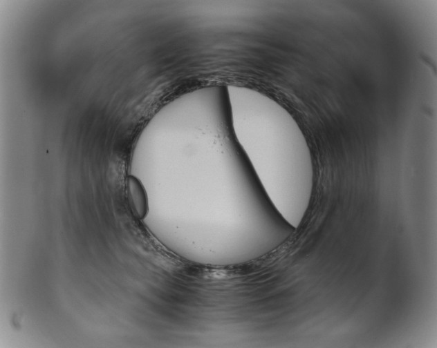 X0000101680565200807101147