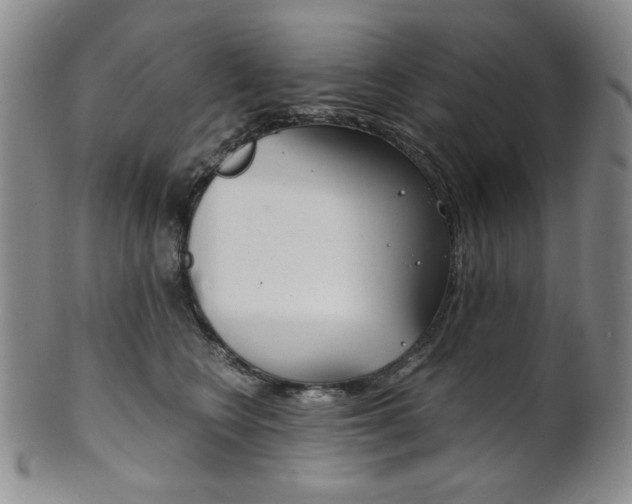 X0000101680566200807101147