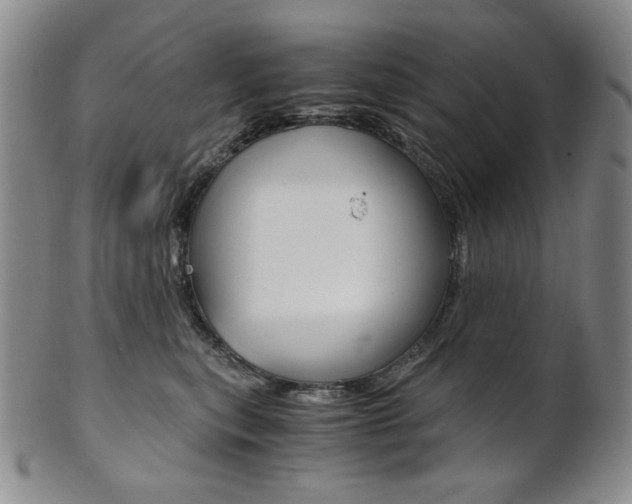 X0000101680567200807101147