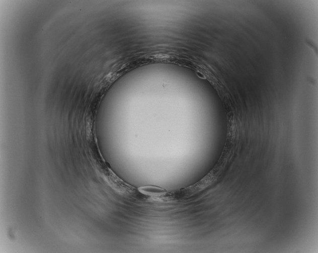 X0000101680568200807101147