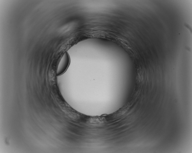 X0000101680571200807101147