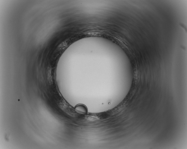 X0000101680572200807101147