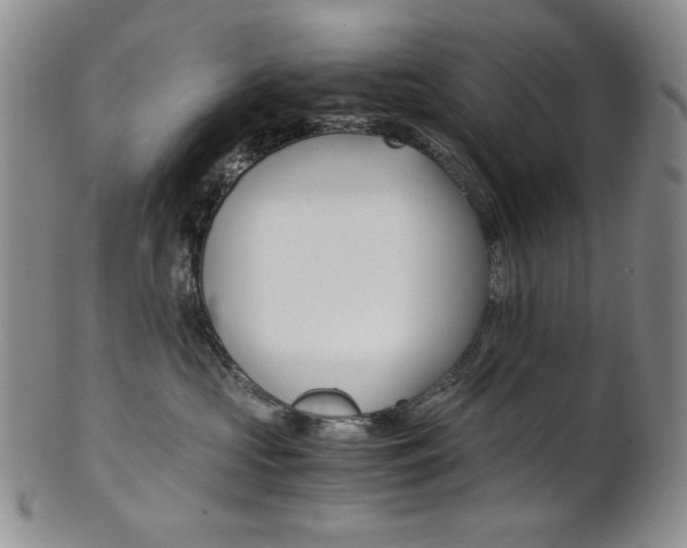 X0000101680573200807101147