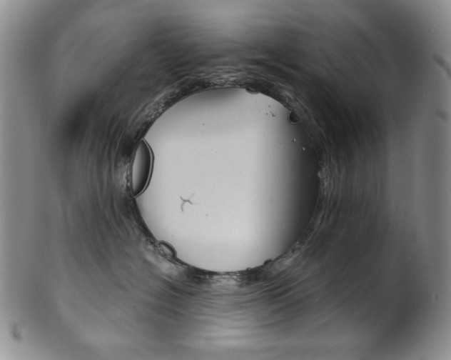 X0000101680574200807101147