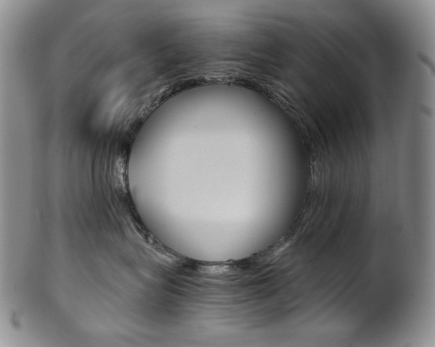 X0000101680575200807101147