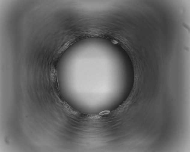X0000101680576200807101147
