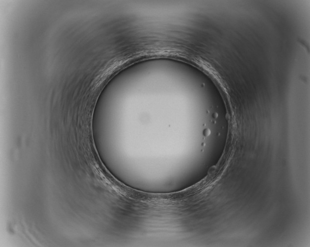 X0000101680577200807101147