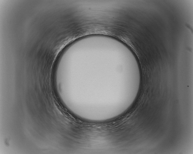 X0000101680579200807101147