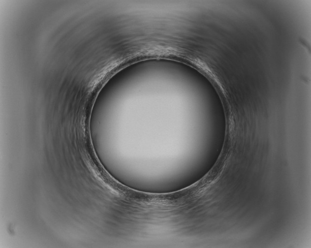 X0000101680581200807101147