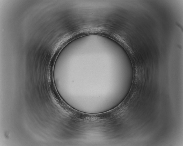 X0000101680582200807101147
