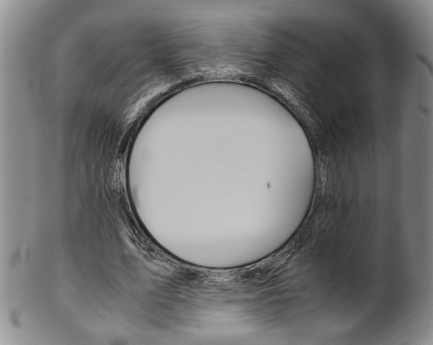 X0000101680583200807101147