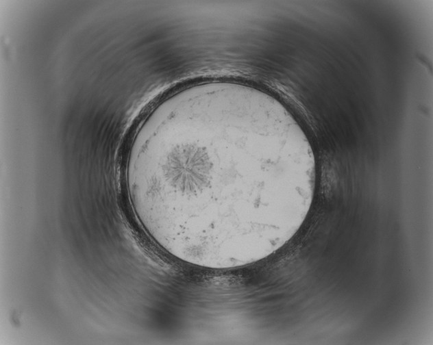 X0000101680584200807101147