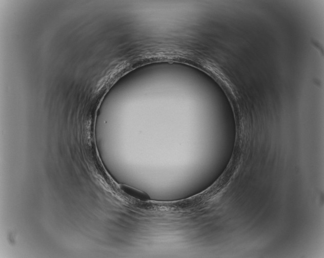 X0000101680585200807101147