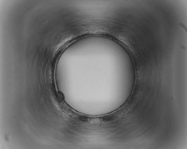 X0000101680587200807101146
