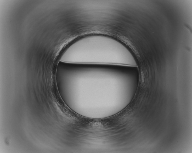 X0000101680588200807101146
