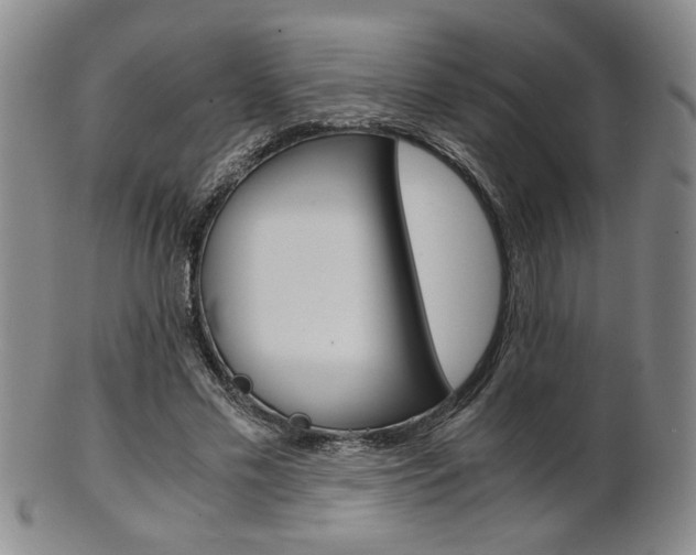 X0000101680589200807101146