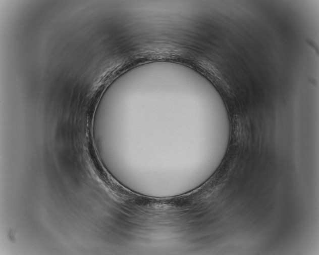 X0000101680590200807101146