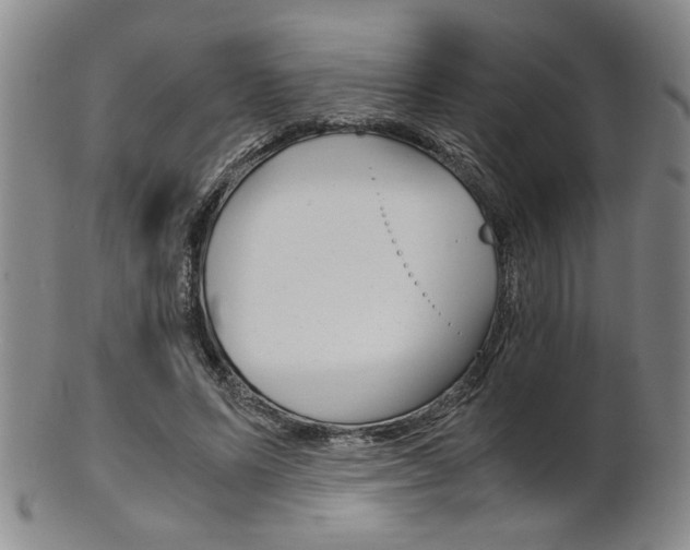 X0000101680591200807101146