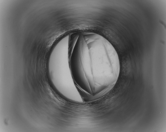 X0000101680592200807101146