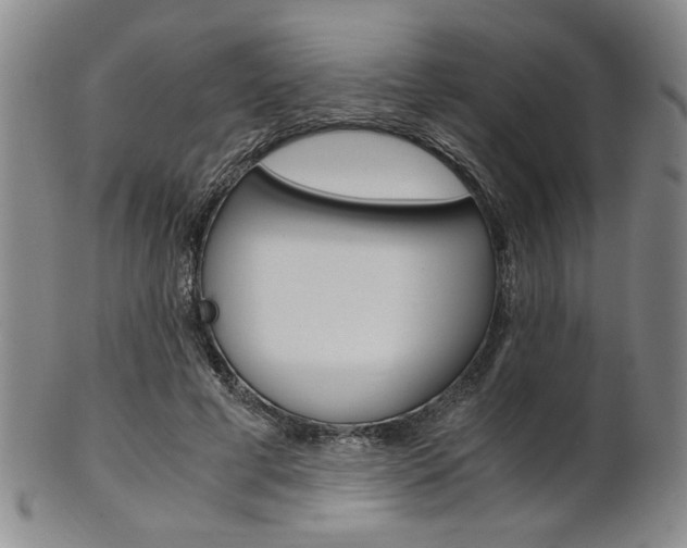 X0000101680593200807101146
