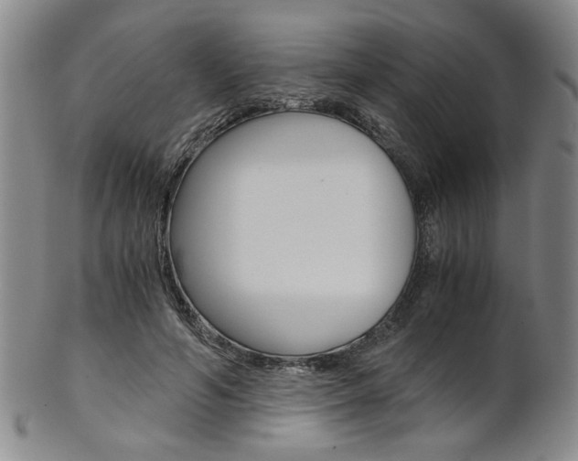 X0000101680594200807101146
