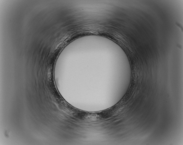 X0000101680595200807101146