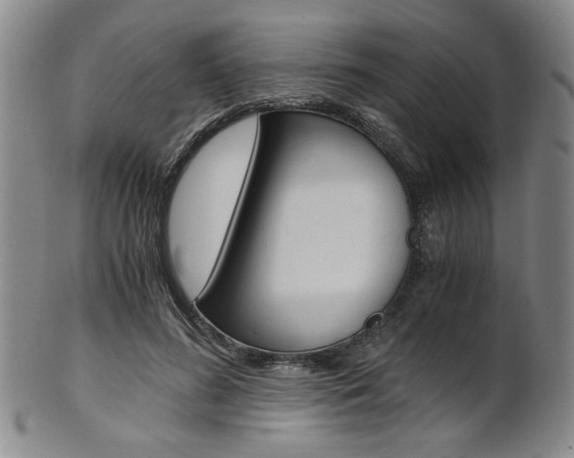 X0000101680596200807101146
