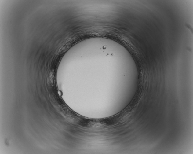 X0000101680597200807101146
