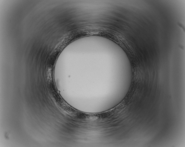 X0000101680598200807101146