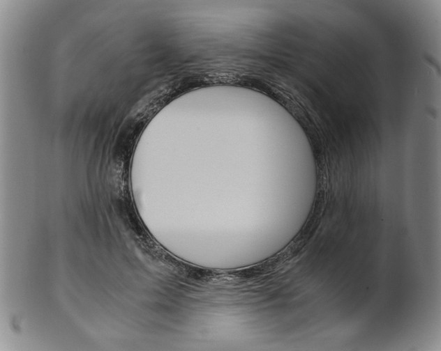 X0000101680599200807101146