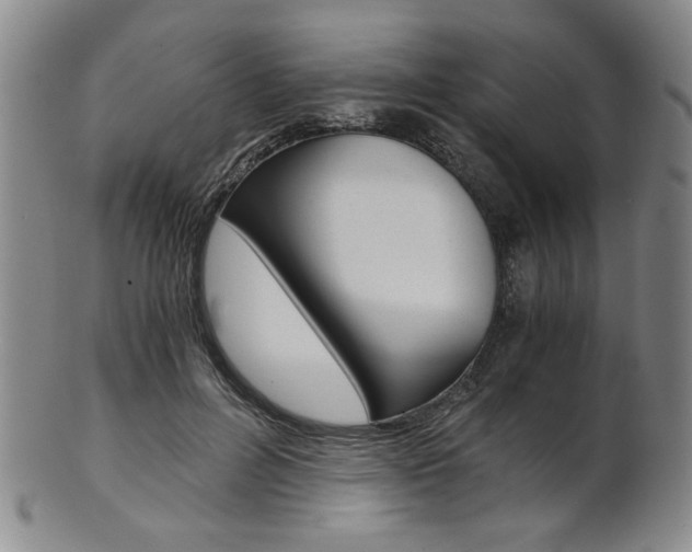 X0000101680600200807101146