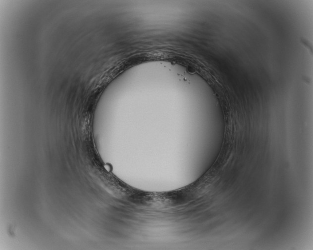X0000101680601200807101146
