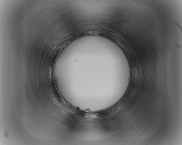 X0000101680602200807101146