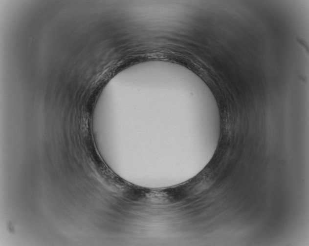 X0000101680603200807101146