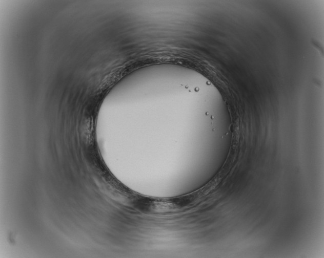 X0000101680605200807101146