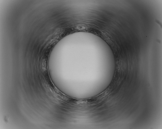 X0000101680606200807101146