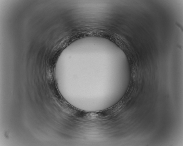 X0000101680607200807101146