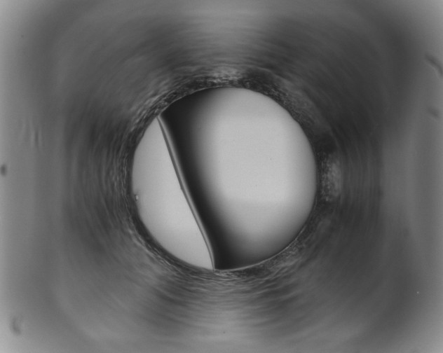 X0000101680608200807101146
