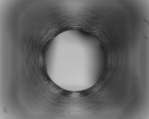X0000101680609200807101146