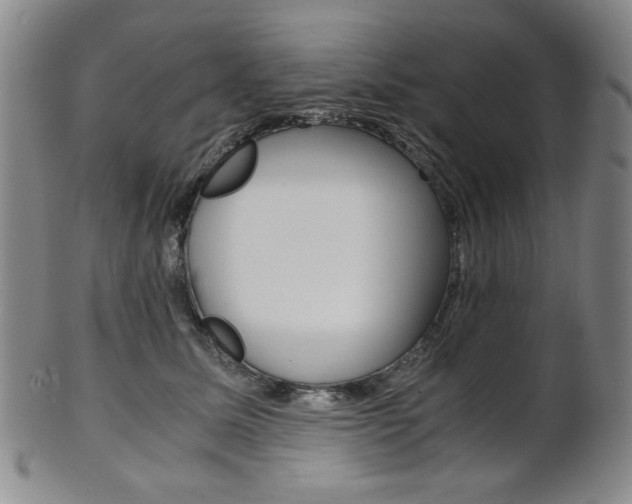 X0000101680611200807101146
